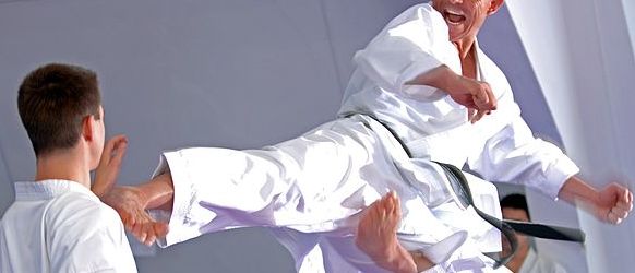 4,476 Man Karate Pose Stock Photos - Free & Royalty-Free Stock Photos from  Dreamstime