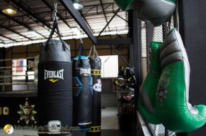 heavy bag and gloves at lion's head boxing gym