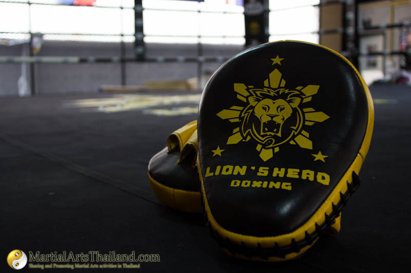 Lion's head boxing gym personalized punching pads