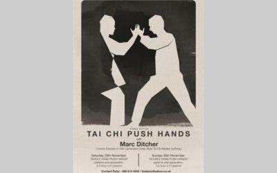 Chen Tai Chi pushing hands weekend flyer