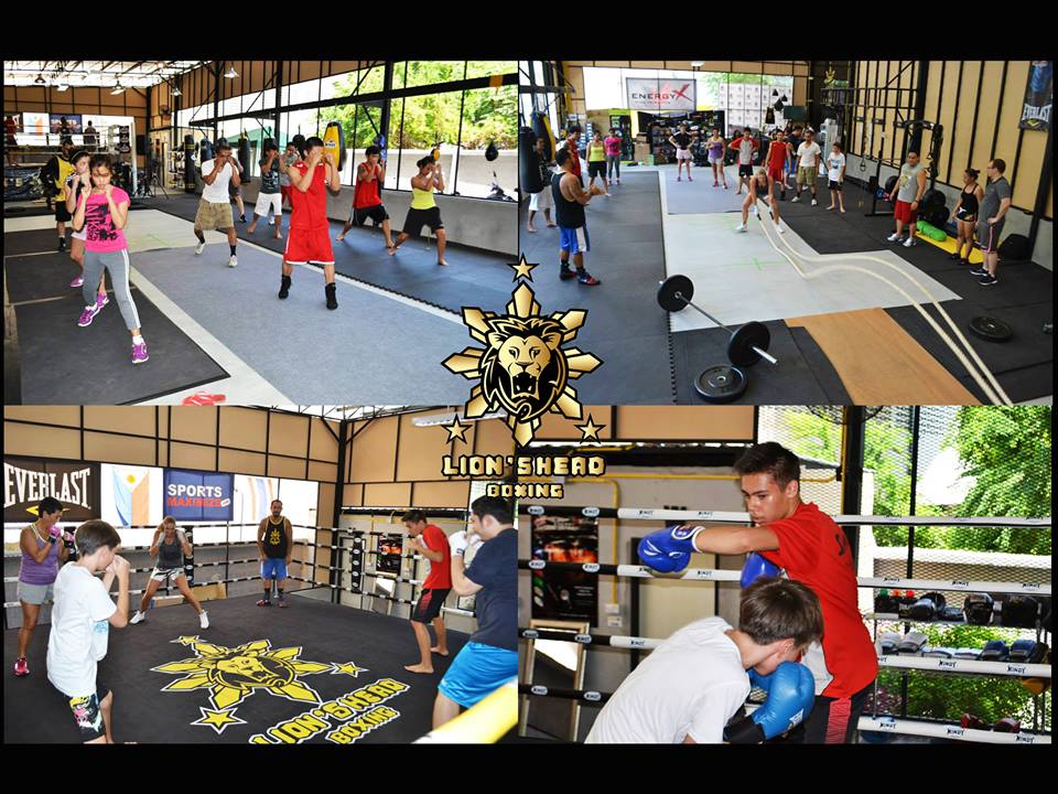 collage of training images at lion's head boxing gym