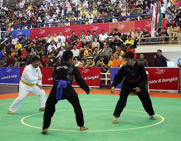 16th World Pencak Silat Championship 2015 Martial Arts