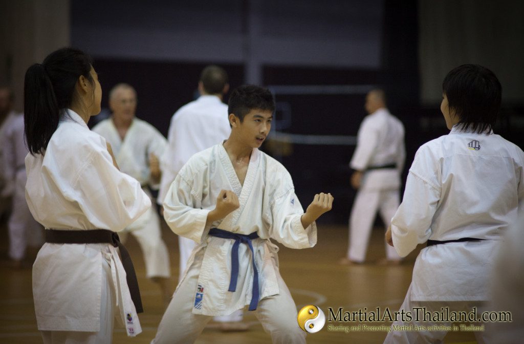 traditional stance performed by student blue belt