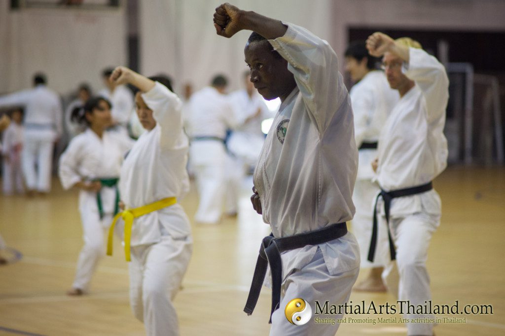 karate student following kata class at the siam camp 2016