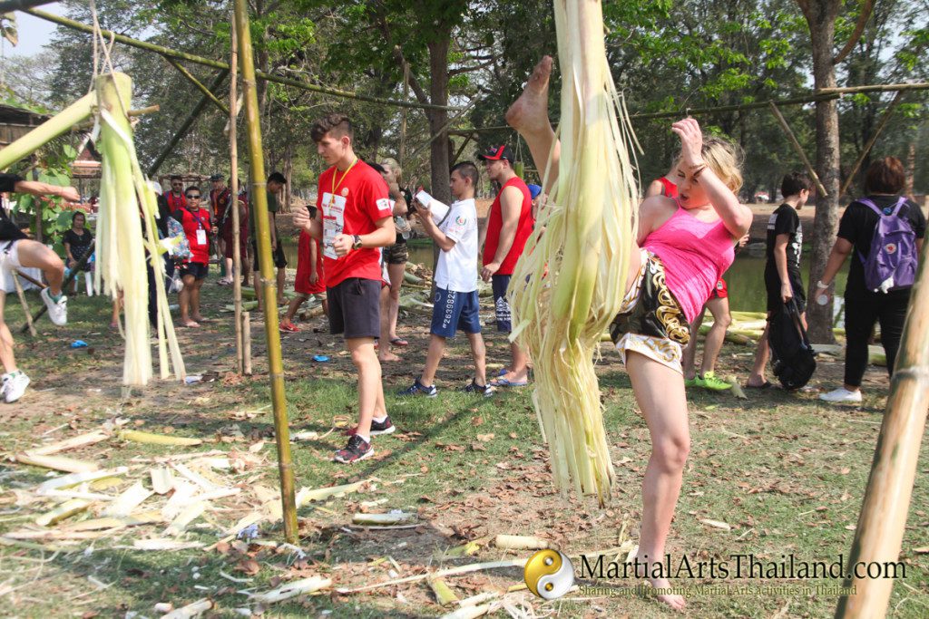 people practicing kicking banana trees at the 12th Wai Kru Muay Thai Ceremony 2016 