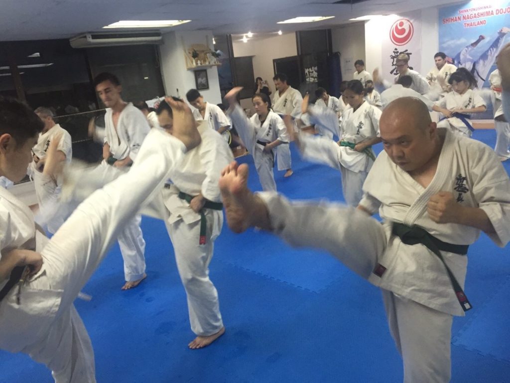 Karate students during class kicks