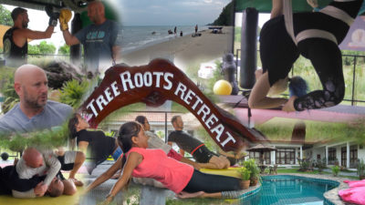 tree roots retreat featured image