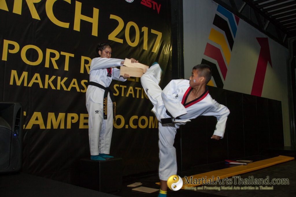 taekwondo demonstration at Fitcamp Expo 2017
