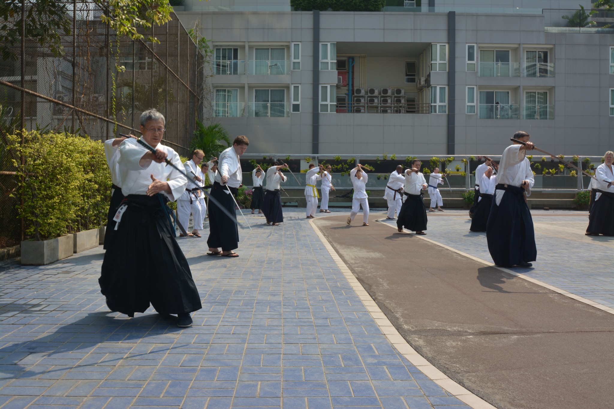 Mushin Ronin Aikikai open air class with swords