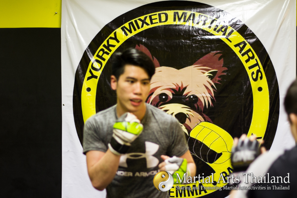 Nicholas JJ Lee Yorky MMA  coach training student