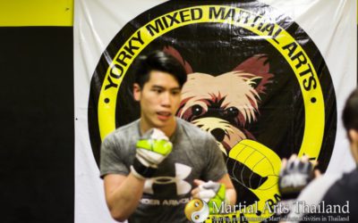 Nicholas JJ Lee Yorky MMA coach training student