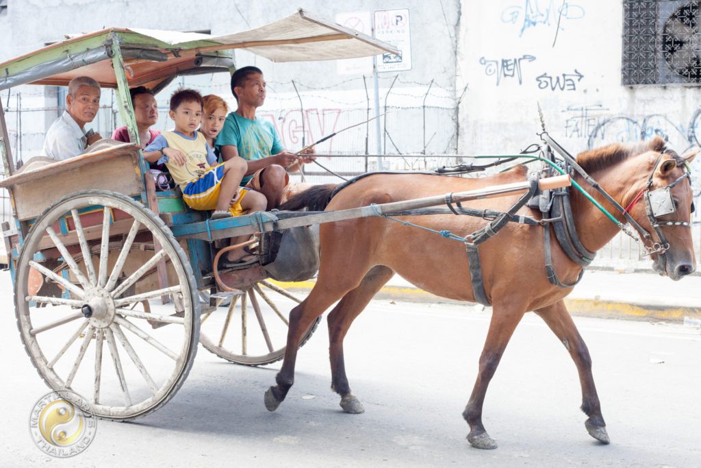 kids on horse car calesse in cebu road